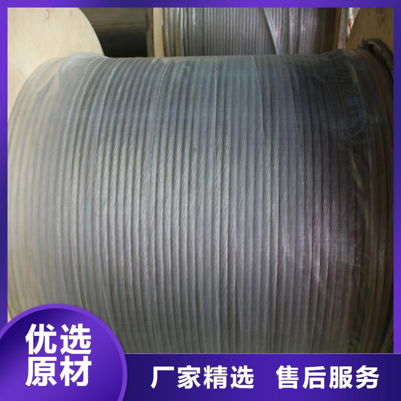 鍍錫銅絞線現貨批發