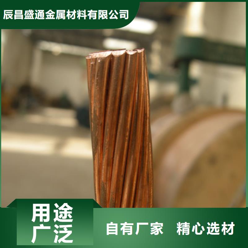 TJ-185平方鍍錫銅絞線了解更多【廠家】