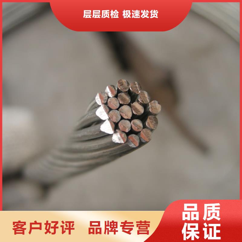 銅絞線紫銅帶源頭廠家經驗豐富