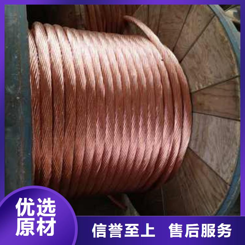 【TJX-250mm2鍍錫銅絞線】一米多少錢
