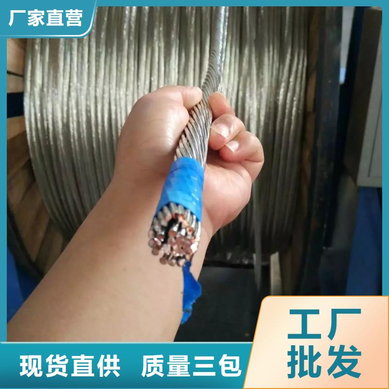 【TJX-250mm2鍍錫銅絞線】南來北往這里價格合適