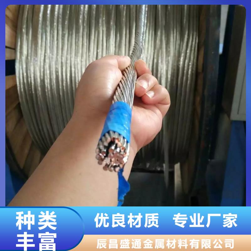 〖TJ-400平方鍍錫銅絞線〗每米多少錢