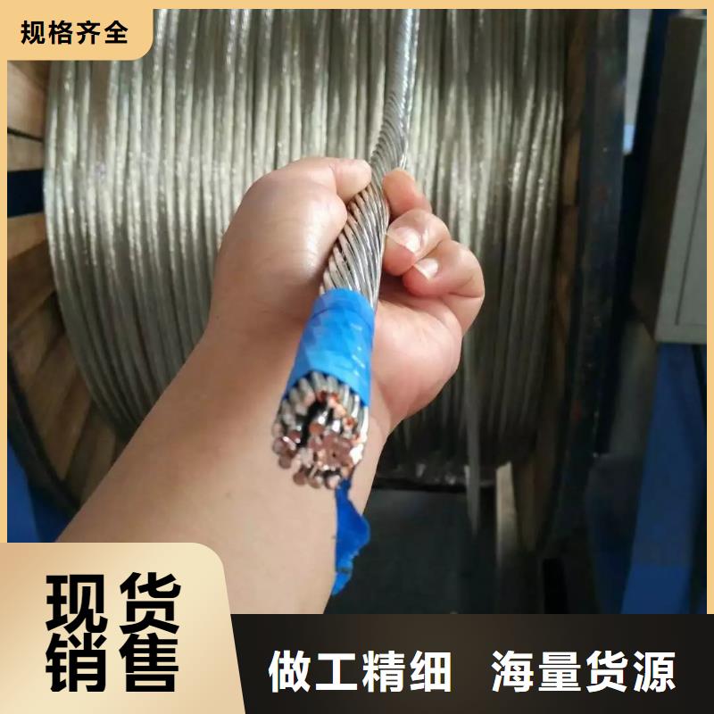 【TJX-630mm2鍍錫銅絞線】現(xiàn)貨批發(fā)