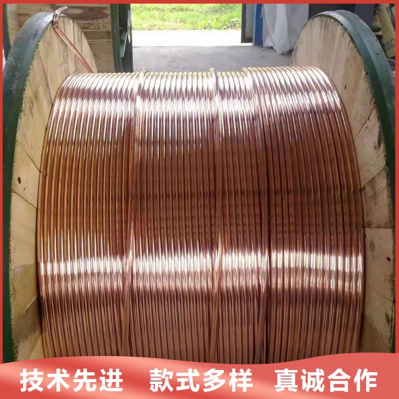 【TJX-630mm2鍍錫銅絞線】現(xiàn)貨批發(fā)
