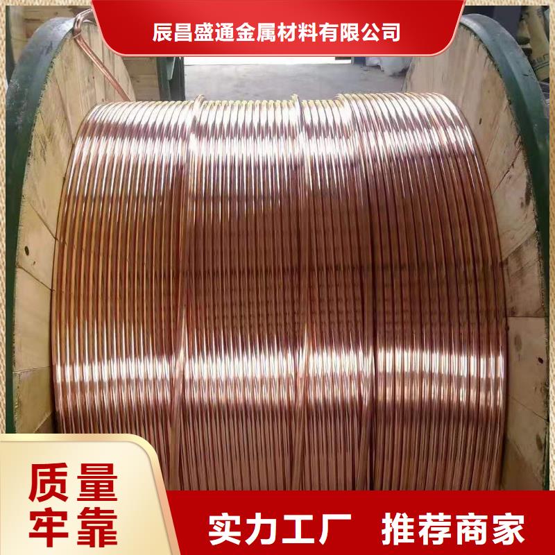 【TJX-120mm2銅絞線】變電站接地工程