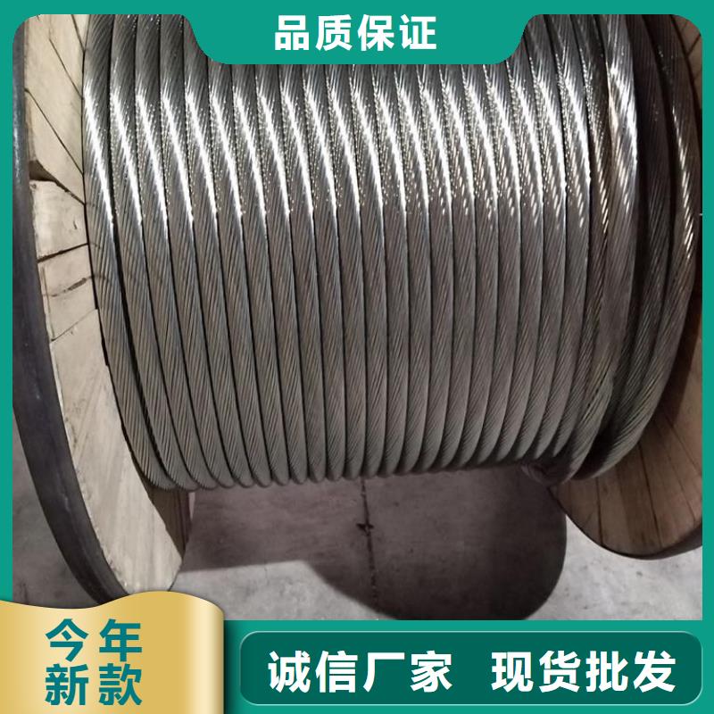 【TJX-630mm2鍍錫銅絞線】現(xiàn)貨批發(fā)
