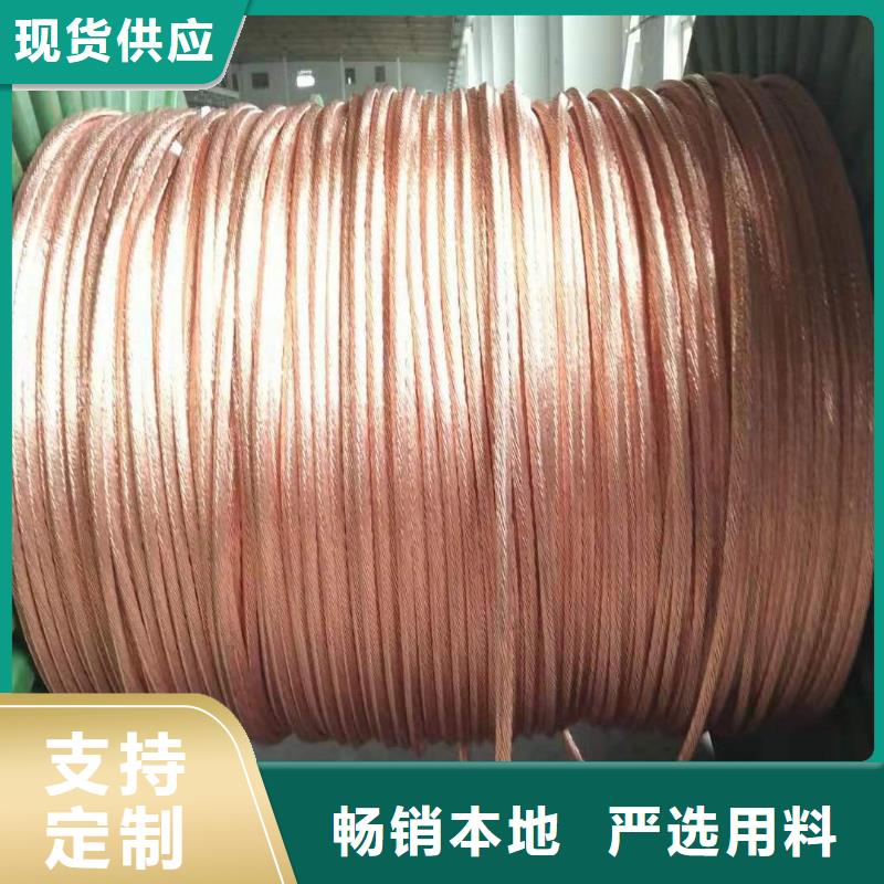【TJX-400mm2鍍錫銅絞線】南來北往這里價格合適