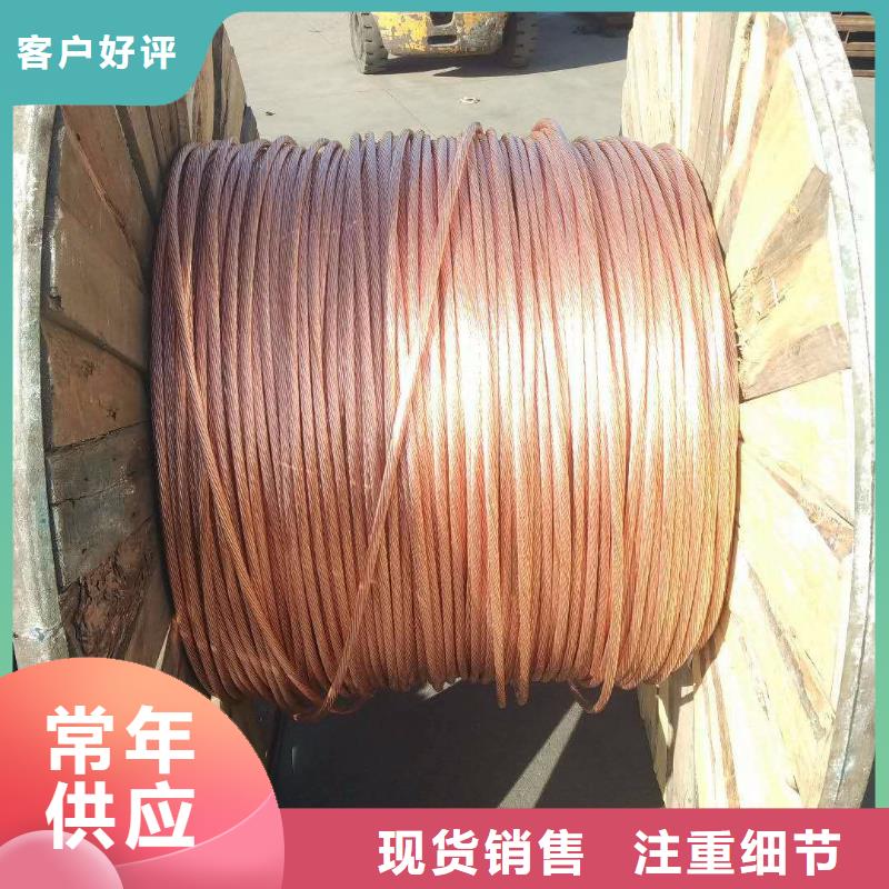 接地鍍錫銅絞線35㎜實力老廠