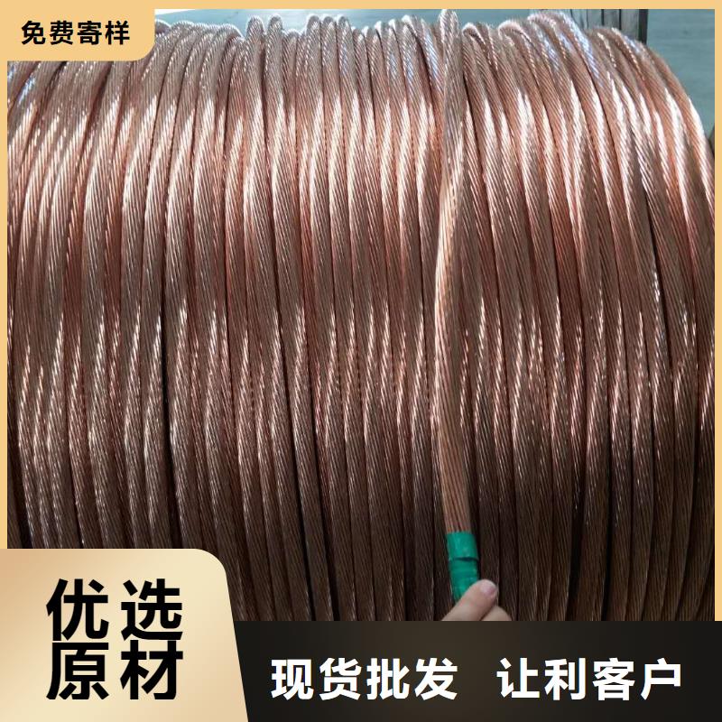 接地銅絞線50㎜承接