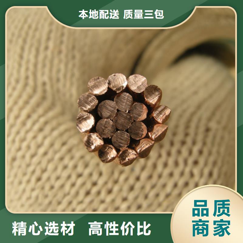 【TJX-50mm2鍍錫銅絞線】廠家直銷質優價廉