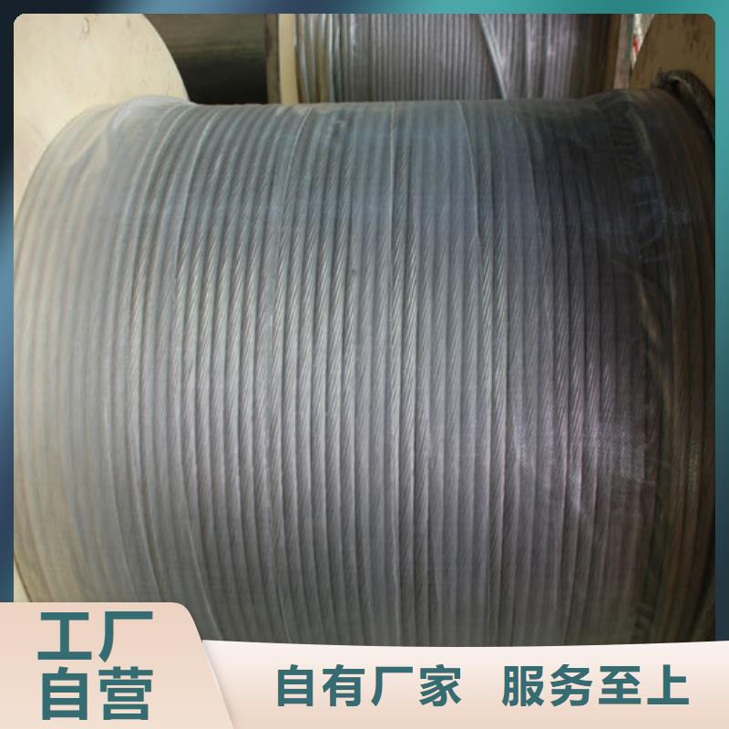 【TJ-500mm2銅絞線】現貨批發