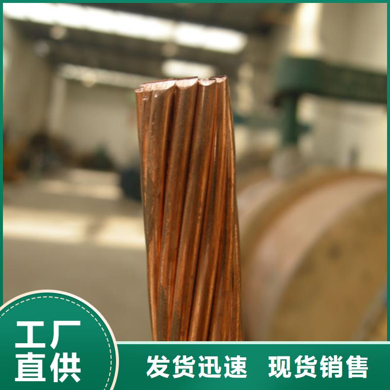 TJ-500mm2銅絞線/鍍錫銅絞線/一米多少錢