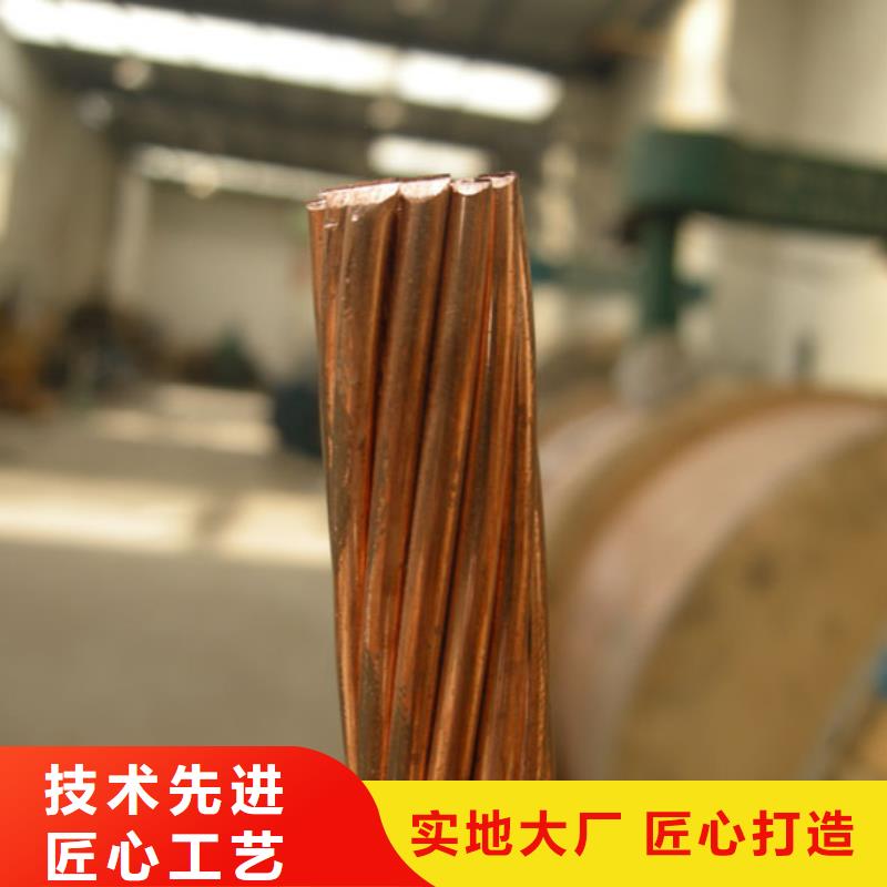 【TJX-250mm2銅絞線】一米多少錢