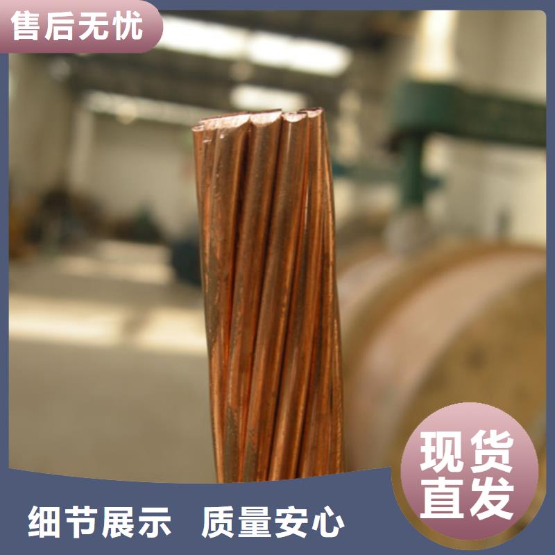 接地鍍錫銅絞線70㎜施工