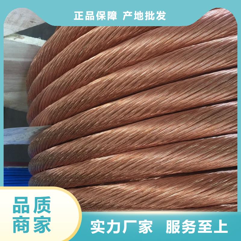 接地銅絞線50㎜承接