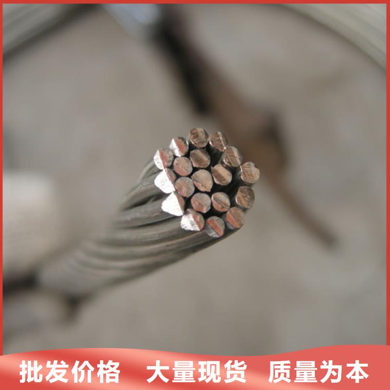 TJ-500mm2銅絞線/鍍錫銅絞線/天天低價