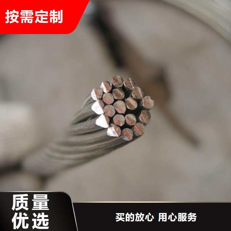 TJ-400平方鍍錫銅絞線%一米多少錢
