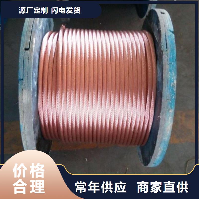 鍍錫銅絞線一米多少錢?