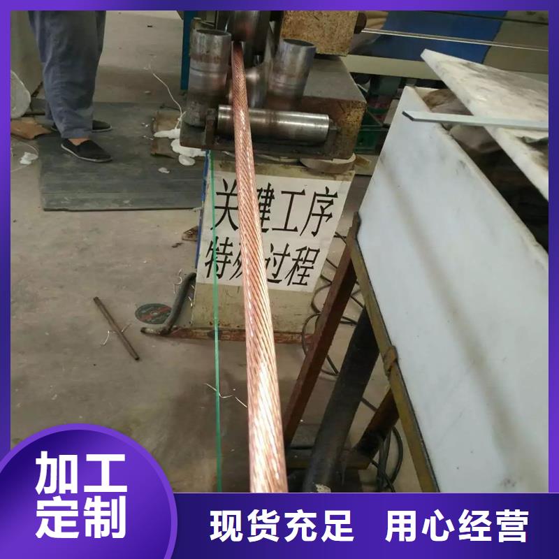 〖TJ-300平方鍍錫銅絞線〗廠家直銷