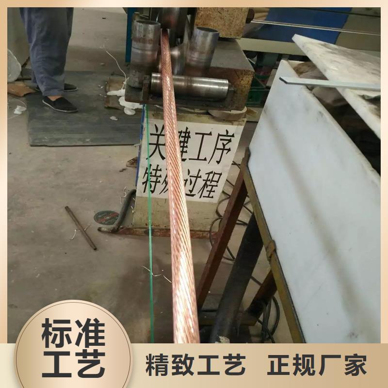 TJ-185mm2鍍錫銅絞線圖片【廠家】