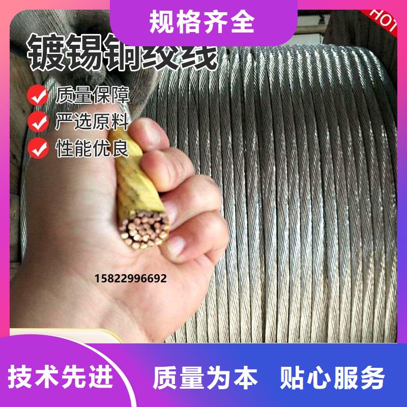 【TJ-400mm2鍍錫銅絞線】一米多少錢