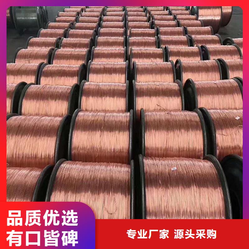 【TJX-250mm2鍍錫銅絞線】南來北往這里價格合適