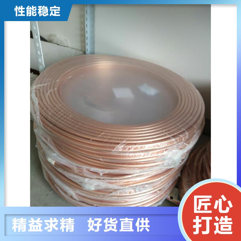 〖10*1覆塑銅管〗?