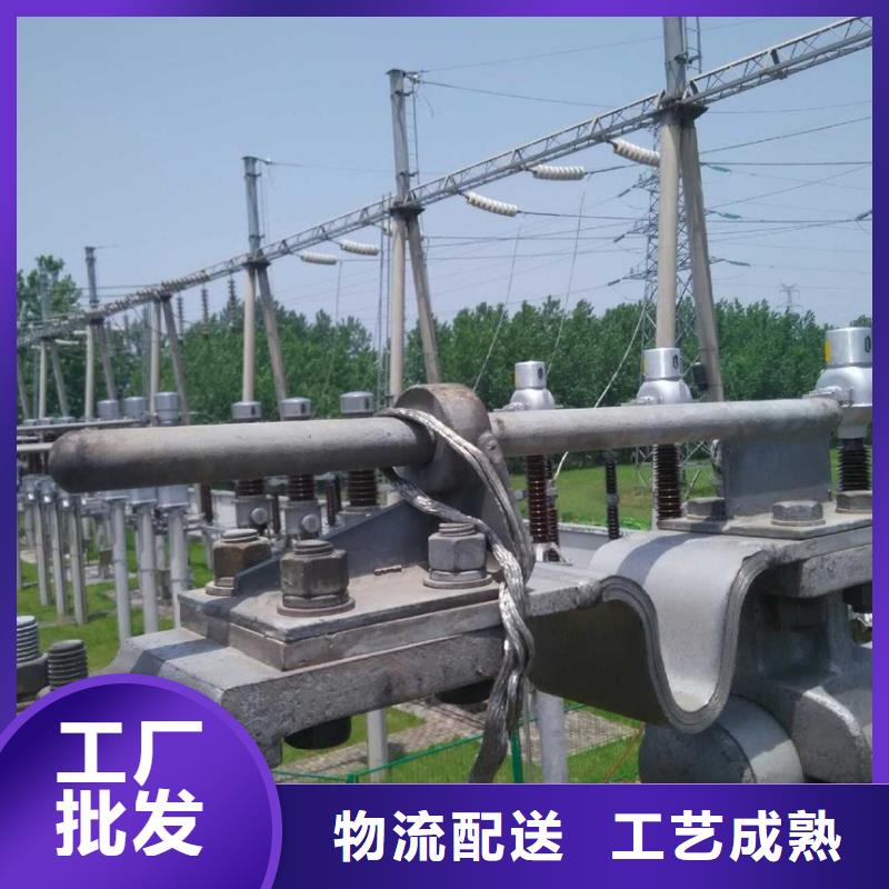 管母線-紫銅帶品質服務誠信為本