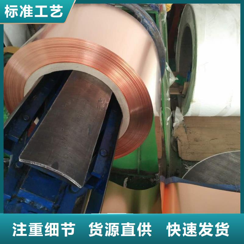 【等電位接地銅皮30*3】廠家