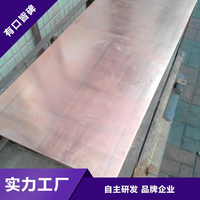 紫铜板镀锡铜绞线送货上门
