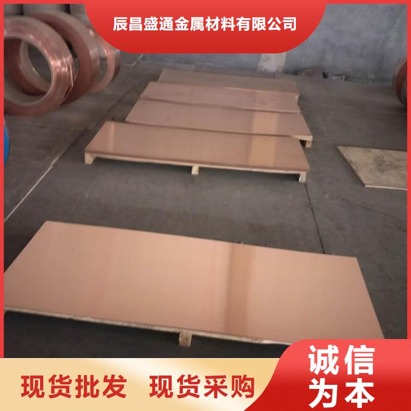 【靜電接地銅排30*3】來廠考察
