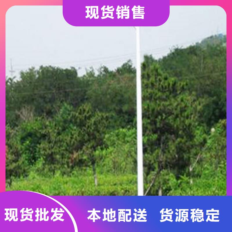 球場燈路燈廠家批發星河路燈