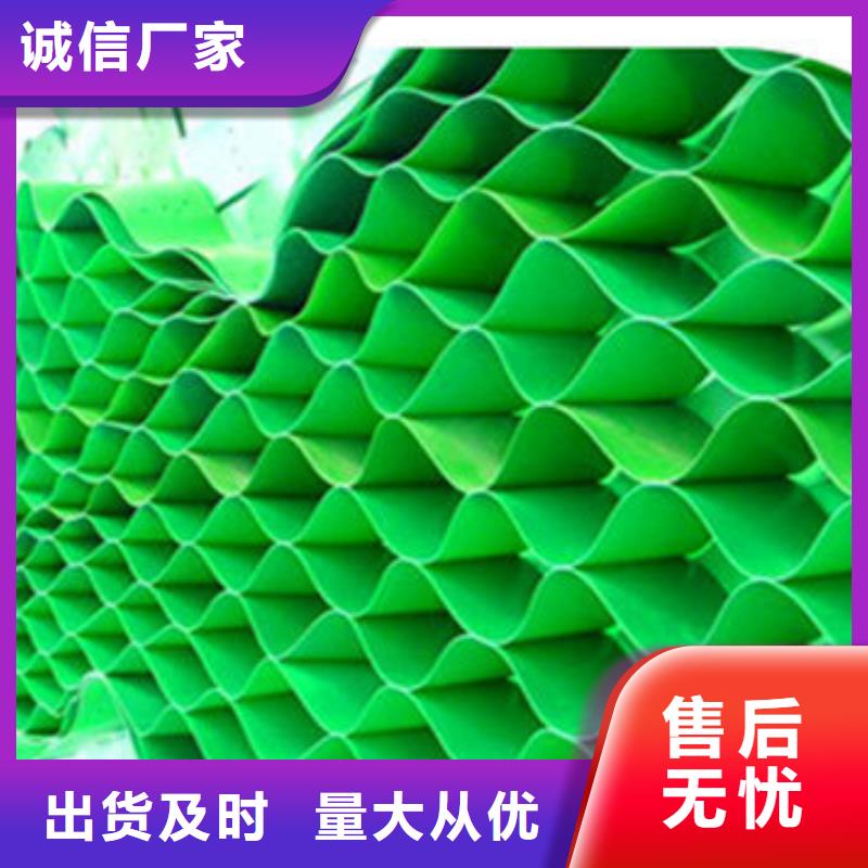 水渠河道治理用土工格室