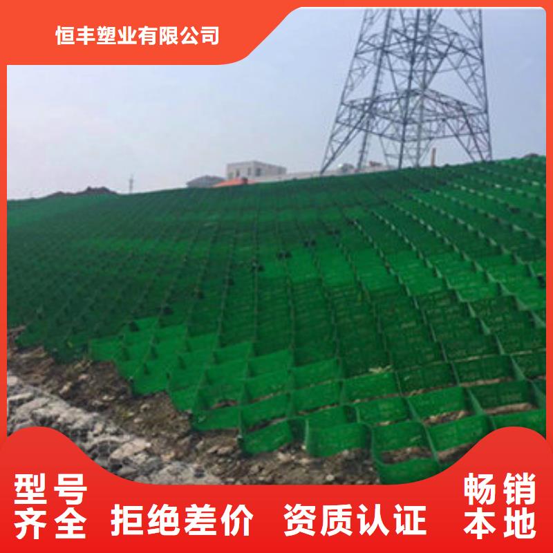 雙向拉伸塑料土工格柵廠家