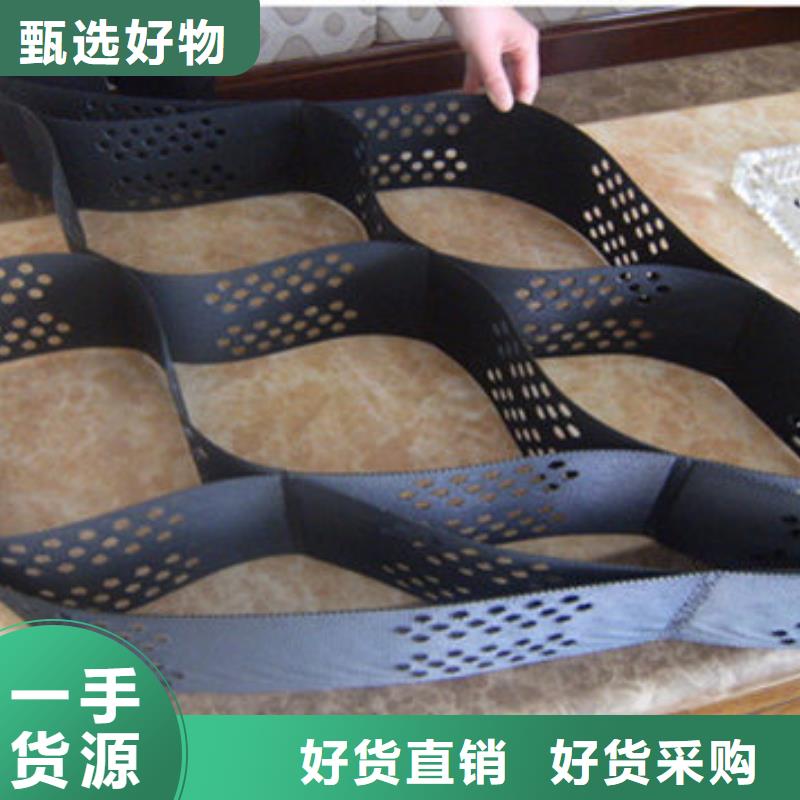 易縣TGGS土工格室