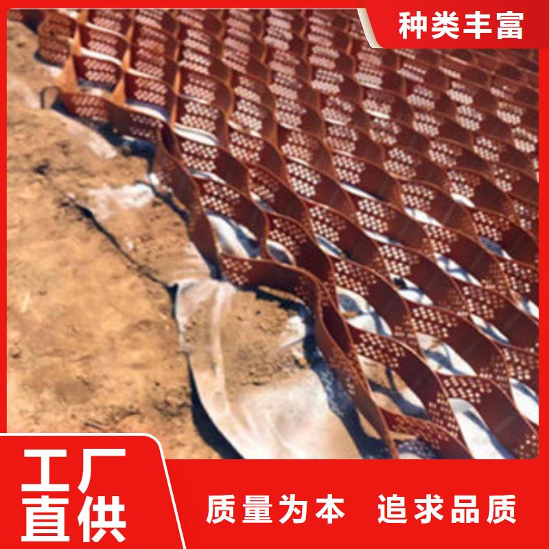 NCP蜂巢格室