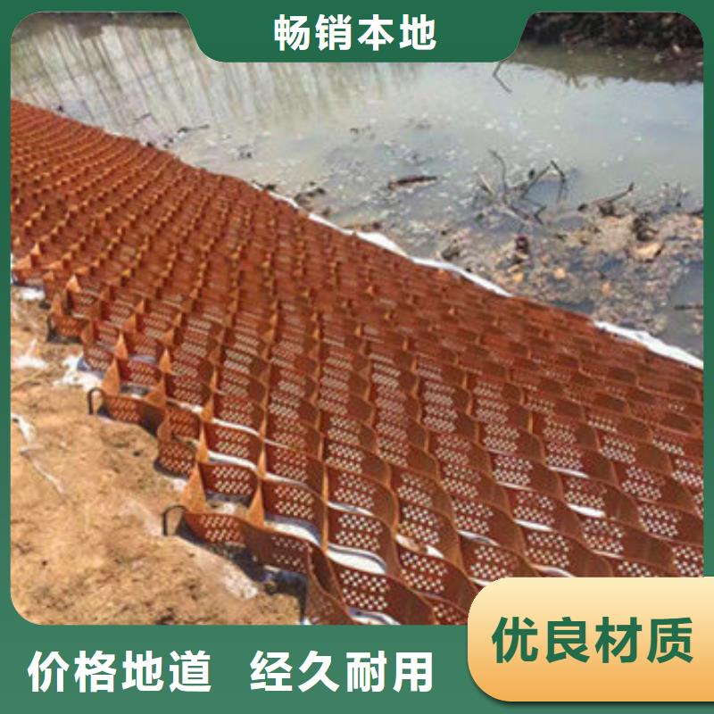 蜂巢格室,双向塑料土工格栅大量现货