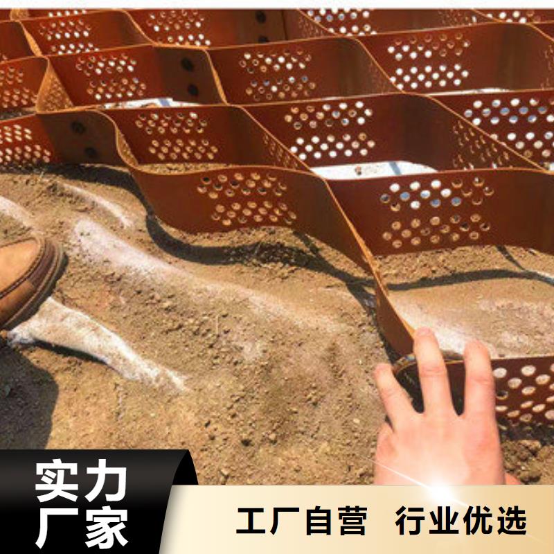 土工格室效果圖實際施工中