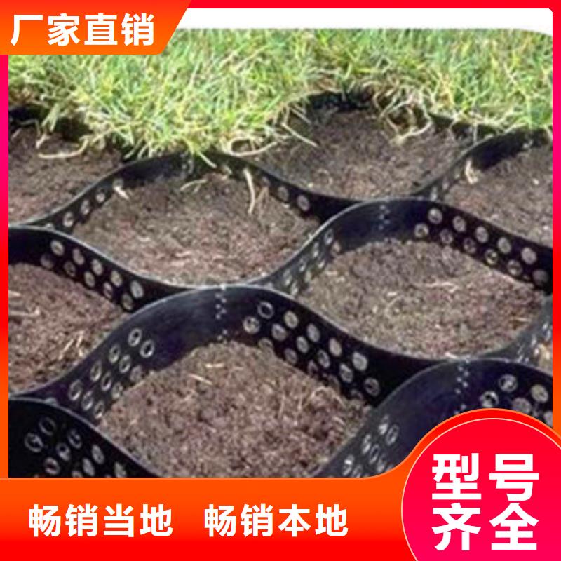 NCP蜂巢格室簡介
