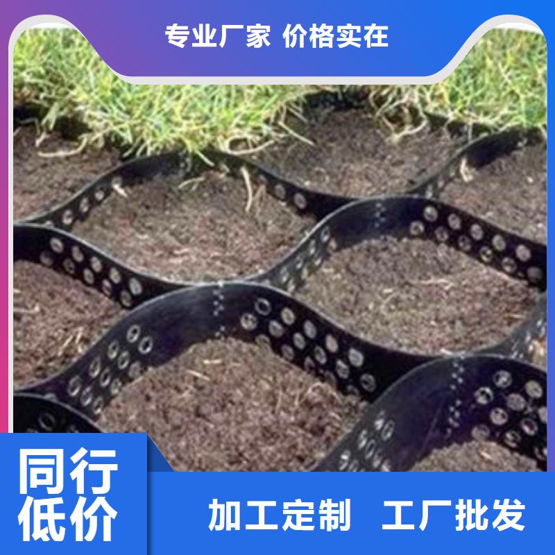 蜂巢約束系統格室簡介