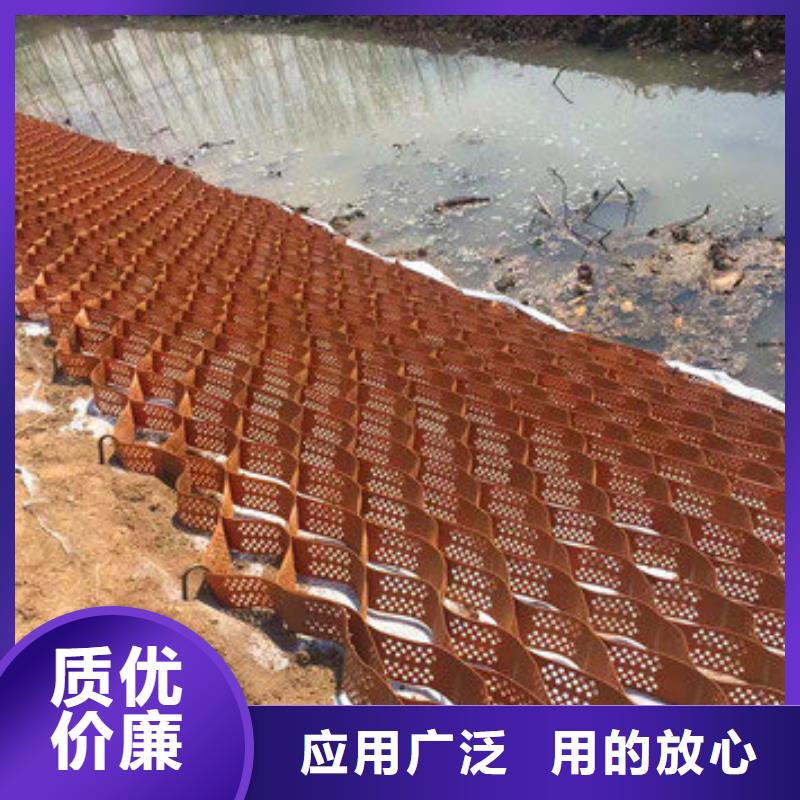 十六角柔光箱蜂巢網(wǎng)