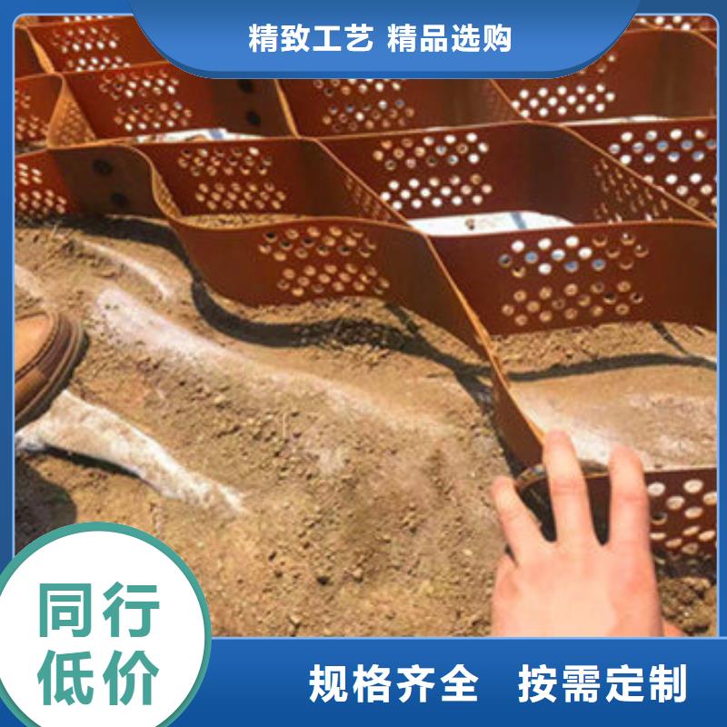 哪里土工格室生產(chǎn)廠家廠家供應(yīng)