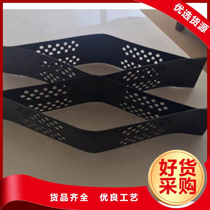 水渠河道治理用土工格室