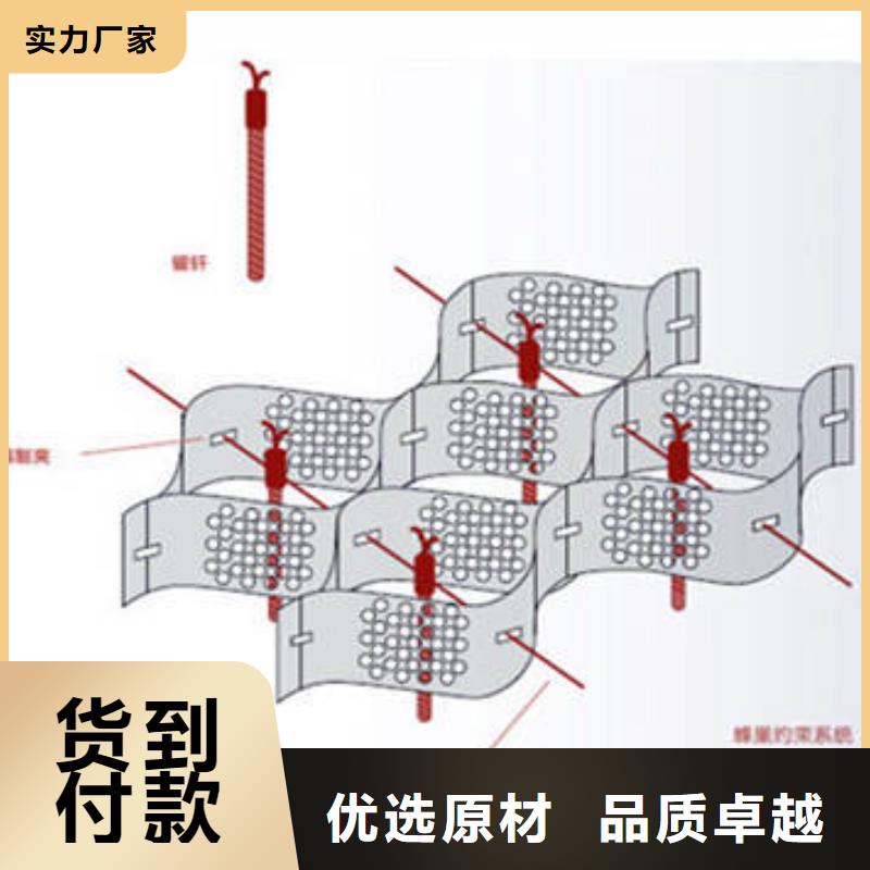 蜂格巢室綠化