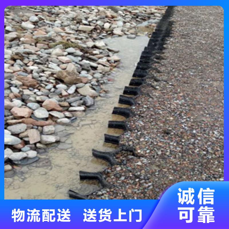 蜂巢格室設計