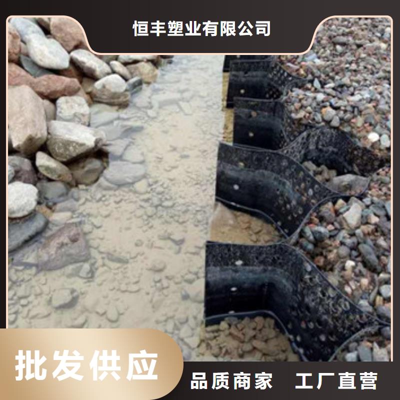 蜂巢格室三维植被网品质不将就
