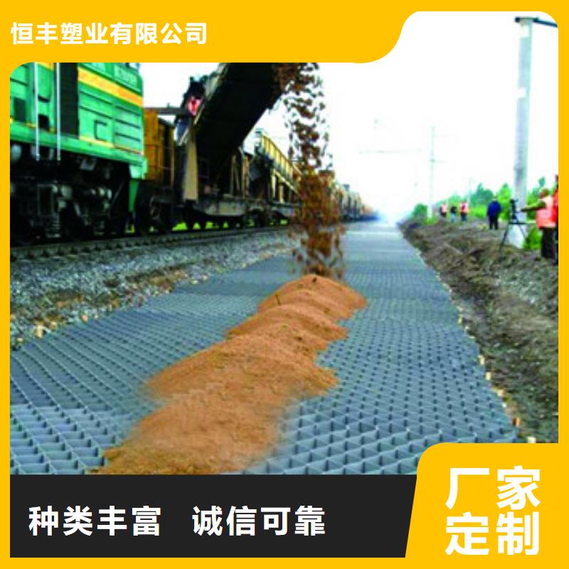 蜂巢格室钢塑土工格栅多种规格可选