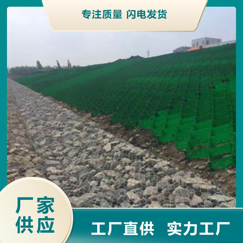 蜂巢格室_【波紋管】品質有保障
