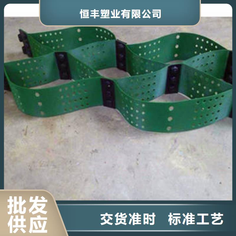蜂巢格室_双向土工格栅当地货源