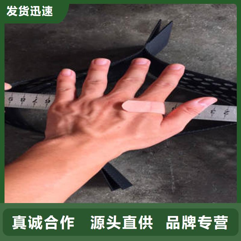 高強土工格室簡介